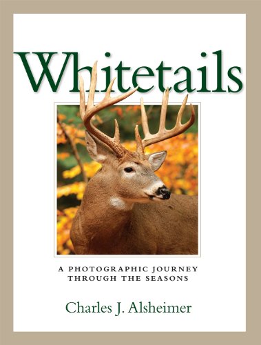 Stock image for Whitetails A Photographic Journey through the Seasons for sale by Liberty Book Shop