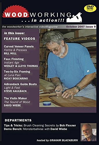 9781440324444: Woodworking in Action: Curved Veneer Panels, Faux Finishing, Two-by-Six Framing, Adirondack Guide Boats, The Violin Maker