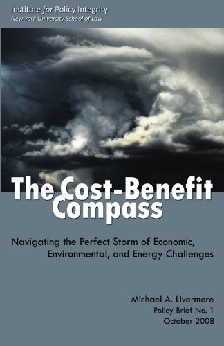 Imagen de archivo de The Cost-Benefit Compass: Navigating the Perfect Storm of Economic, Environmental, and Energy Challenges a la venta por Revaluation Books