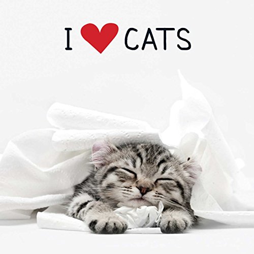 Beispielbild fr I Love Cats (Adams Media) zum Verkauf von AwesomeBooks