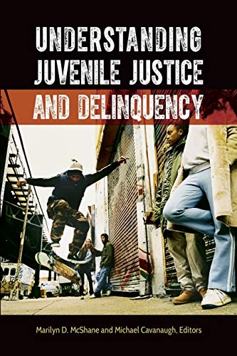9781440843594: Understanding Juvenile Justice and Delinquency