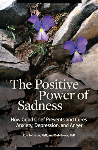 Beispielbild fr The Positive Power of Sadness: How Good Grief Prevents and Cures Anxiety, Depression, and Anger (Psychology, Religion, and Spirituality) zum Verkauf von Lucky's Textbooks