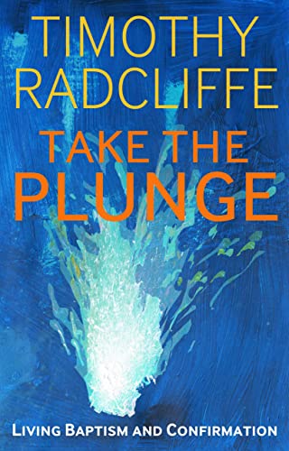 Beispielbild fr Take the Plunge: Living Baptism and Confirmation zum Verkauf von Bookmonger.Ltd