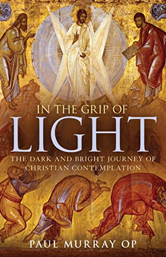 Stock image for In The Grip of LIGHT: The Dark and Bright Journey of Christian Contemplation for sale by Mount Angel Abbey Library