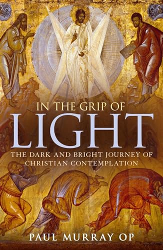 9781441145505: In the Grip of Light: The Dark and Bright Journey of Christian Contemplation