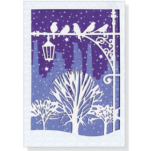 9781441311696: Winter Roost Laser Cut Holiday Cards