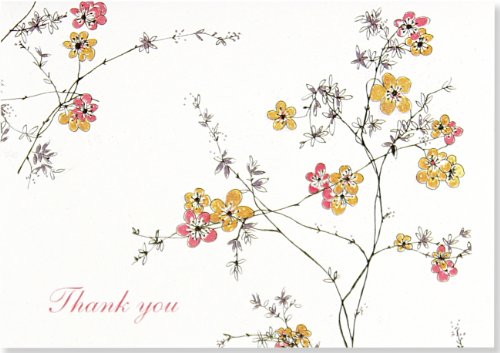 Flowering Vines Thank You Notes (Stationery, Note Cards, Boxed Cards) (9781441312747) by Peter Pauper Press