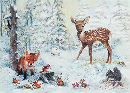 9781441314987 snowy forest deluxe boxed holiday cards christmas cards greeting cards - Deluxe Christmas Cards 9781441314987 snowy forest deluxe boxed holiday cards christmas cards greeting cards - Deluxe Christmas Cards