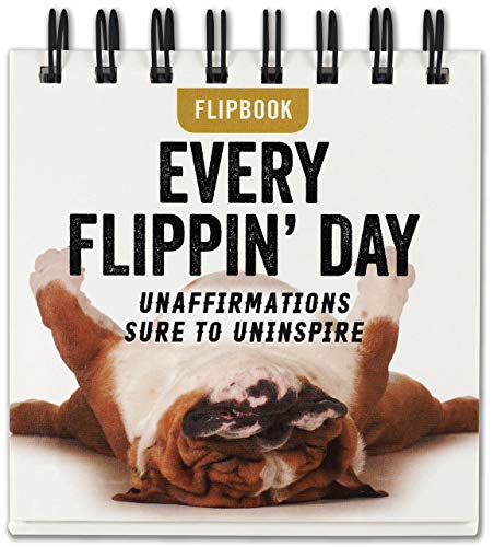 Beispielbild fr Every Flippin Day Desktop Flipbook zum Verkauf von WorldofBooks