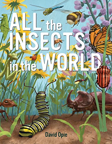 Imagen de archivo de All the Insects in the World a la venta por Dream Books Co.