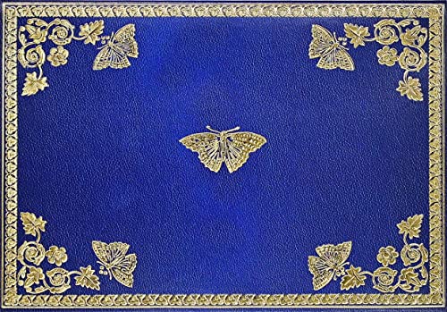 9781441341051: Gilded Butterflies Note Cards