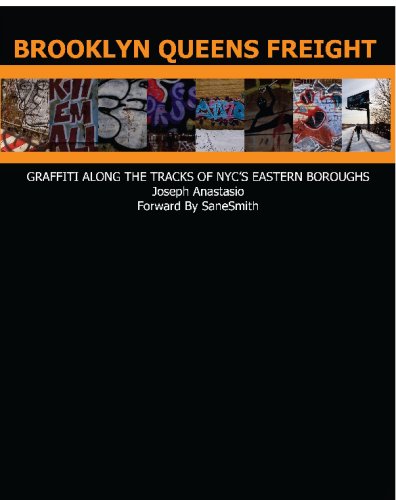 9781441406040: Brooklyn Queens Freight: Graffiti Along the Tracks: Volume 1