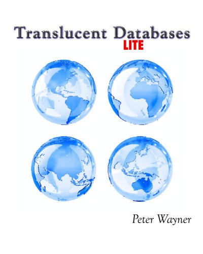 Beispielbild fr Translucent Databases Lite: Confusion, misdirection, randomness, sharing, authentication and steganography to defend privacy zum Verkauf von Revaluation Books