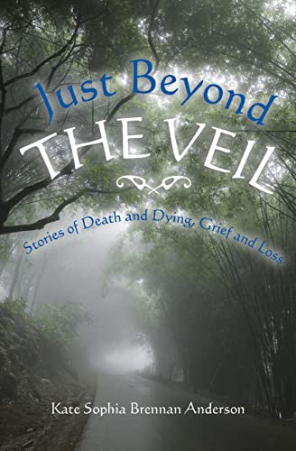 Stock image for Just Beyond the Veil for sale by Irish Booksellers