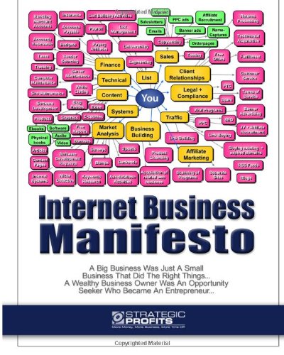 Imagen de archivo de Internet Business Manifesto: Www.Strategicprofits.Com a la venta por Ergodebooks