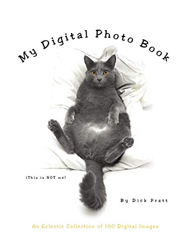 My Digital Photo Book: An Eclectic Collection of 100 Digital Images - Dick Pratt