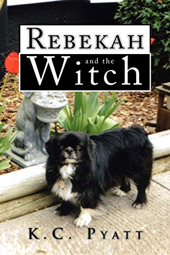 Imagen de archivo de Rebekah and the Witch a la venta por THE SAINT BOOKSTORE