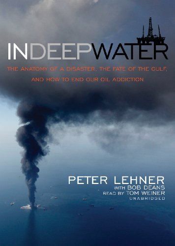 Imagen de archivo de In Deep Water: The Anatomy of a Disaster, the Fate of the Gulf, and How to End Our Oil Addiction a la venta por The Yard Sale Store