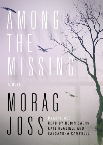 9781441789679: Among the Missing