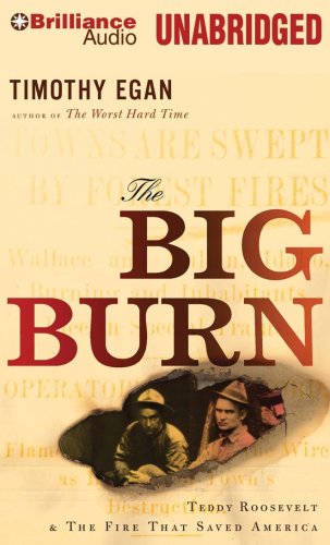 Stock image for The Big Burn: Teddy Roosevelt & the Fire That Saved America for sale by HPB-Diamond