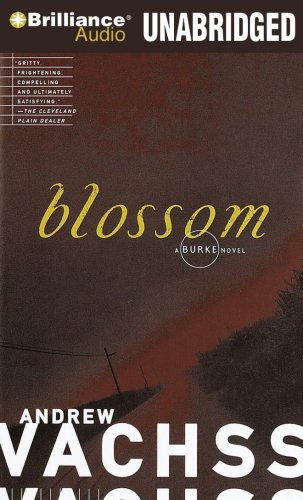 9781441821119: Blossom (Burke)