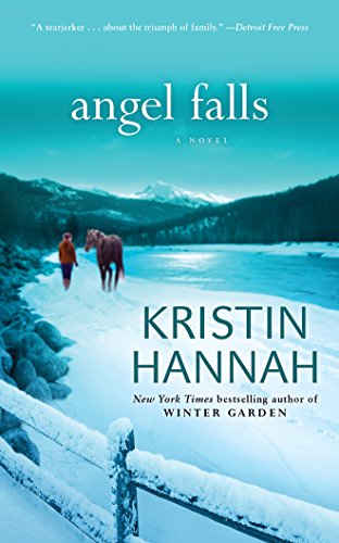 Angel Falls (9781441835673) by Hannah, Kristin