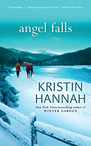 Angel Falls: A Novel (9781441867124) by Hannah, Kristin