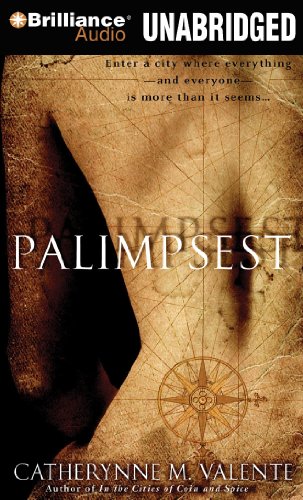 9781441870179: Palimpsest: Library Edition