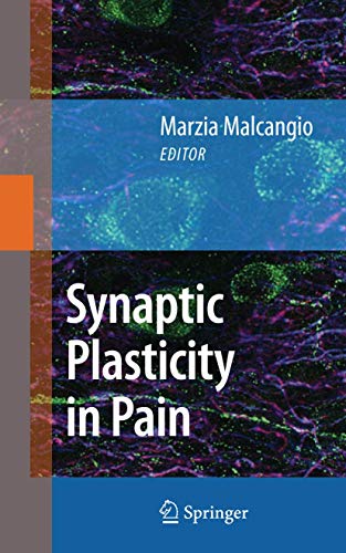 9781441902252: Synaptic Plasticity in Pain