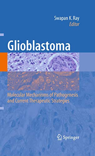 9781441904096: Glioblastoma: Molecular Mechanisms of Pathogenesis and Current Therapeutic Strategies