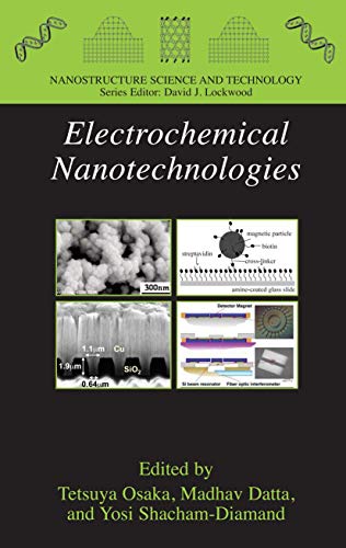 9781441914231: Electrochemical Nanotechnologies (Nanostructure Science and Technology)