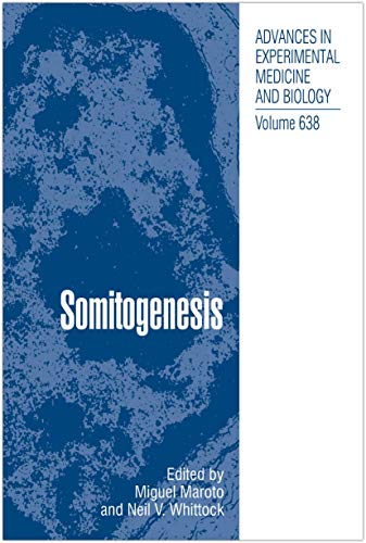 Stock image for Somitogenesis for sale by Ria Christie Collections