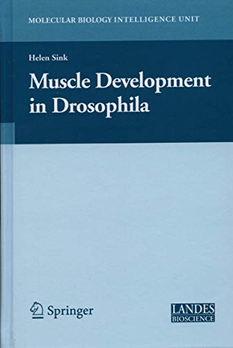 Stock image for Muscle Development in Drosophilia (Molecular Biology Intelligence Unit)