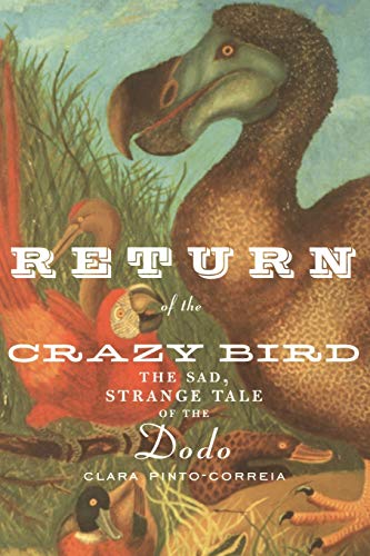 Beispielbild fr Return of the Crazy Bird: "The Sad, Strange Tale Of The Dodo" zum Verkauf von Chiron Media
