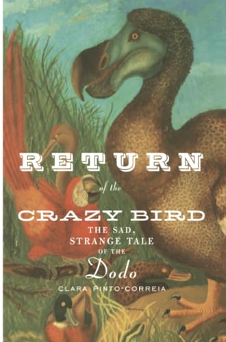 9781441931801: Return of the Crazy Bird: The Sad, Strange Tale of the Dodo