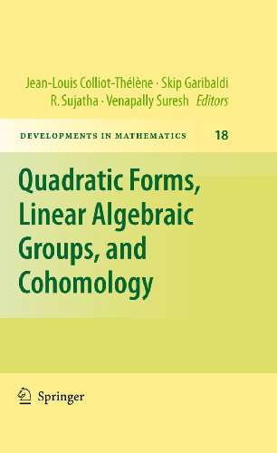 Imagen de archivo de Quadratic Forms, Linear Algebraic Groups, and Cohomology (Developments in Mathematics, 18) a la venta por Lucky's Textbooks