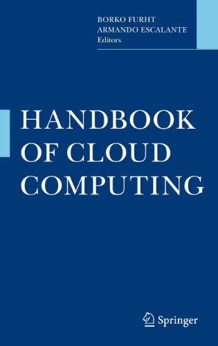 9781441965233: Handbook of Cloud Computing
