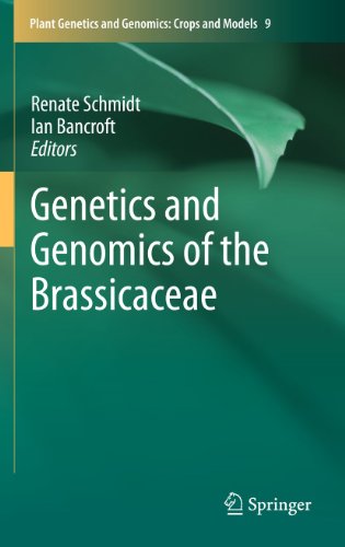 9781441971173: Genetics and Genomics of the Brassicaceae: 9 (Plant Genetics and Genomics: Crops and Models, 9)