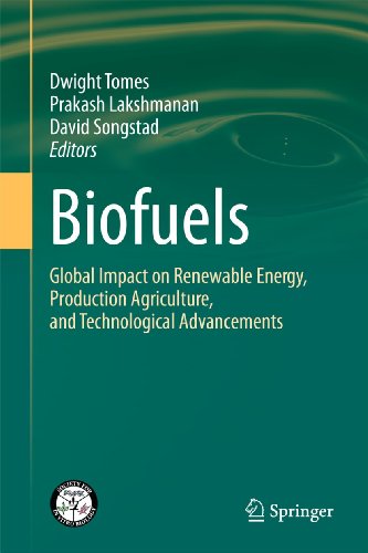 Imagen de archivo de Biofuels Global Impact on Renewable Energy, Production Agriculture, and Technological Advancements a la venta por Buchpark