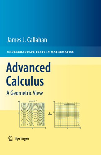 Advanced Calculus: A Geometric View (Undergraduate Texts in Mathematics) [Hardcover] Callahan, James J. - Callahan, James J.