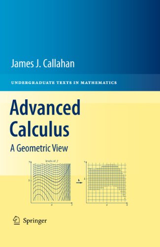 9781441973313: Advanced Calculus: A Geometric View (Undergraduate Texts in Mathematics)