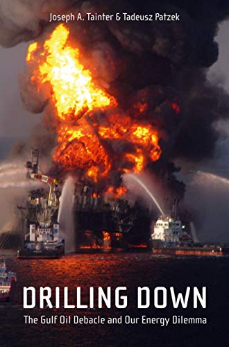 Imagen de archivo de Drilling Down: The Gulf Oil Debacle and Our Energy Dilemma a la venta por Housing Works Online Bookstore