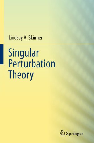 Stock image for Singular Perturbation Theory. for sale by Antiquariat im Hufelandhaus GmbH  vormals Lange & Springer