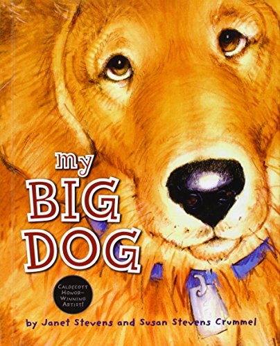 9781442001527: My Big Dog