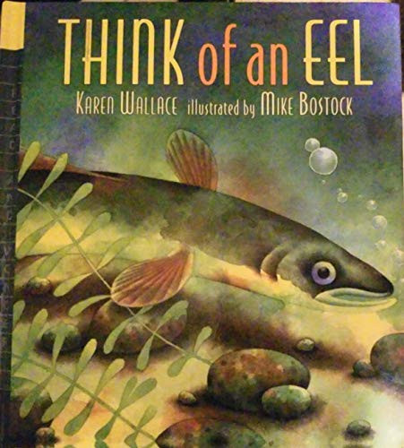 9781442071247: Think of an Eel