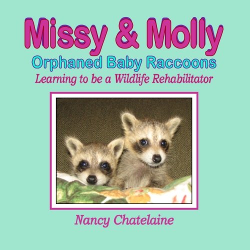 Missy & Molly, Orphaned Baby Raccoons: Learning to be a Wildlife Rehabilitator
