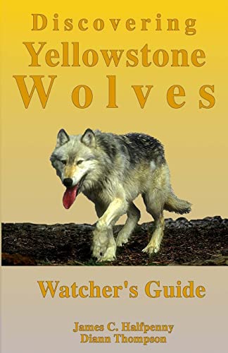 Stock image for Discovering Yellowstone Wolves: Watcher's Guide for sale by SatelliteBooks