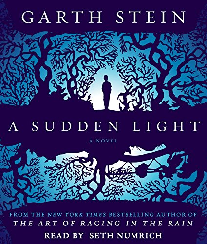 Beispielbild fr A Sudden Light: A Novel zum Verkauf von SecondSale