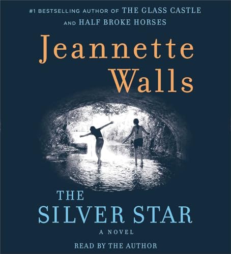 9781442362857: The Silver Star: A Novel
