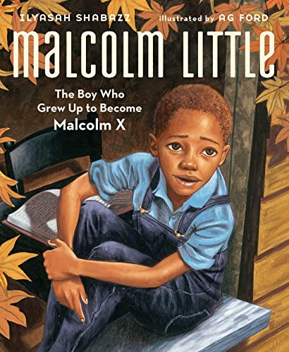 Imagen de archivo de Malcolm Little: The Boy Who Grew Up to Become Malcolm X a la venta por Goodwill of Colorado